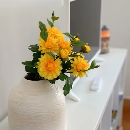 Hébergement de vacances Porto Smart Apartments- Airport